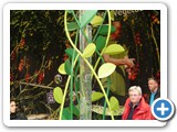 2012-04-16-floriade49