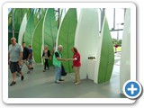 2012-07-07-klezmer-9