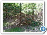 2012-07-29-willowman-11