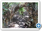 2012-07-29-willowman-13