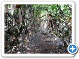 2012-07-29-willowman-14