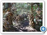 2012-07-29-willowman-16