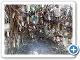 2012-07-29-willowman-19