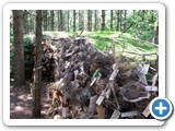 2012-07-29-willowman-21