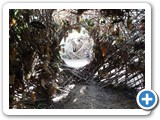2012-07-29-willowman-22
