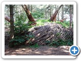 2012-07-29-willowman-30