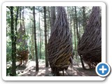 2012-07-29-willowman-31